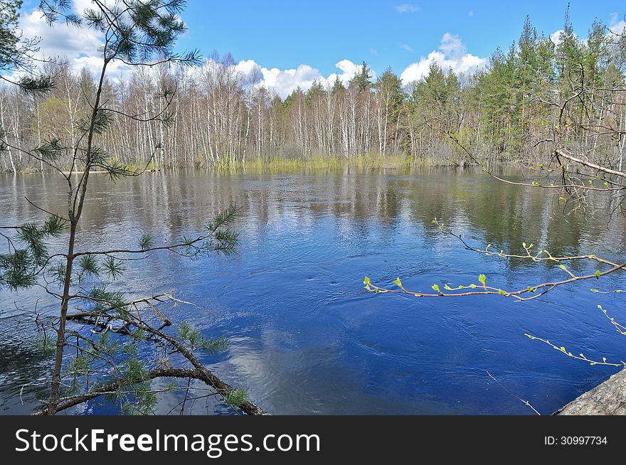 May the landscape. River PRA, the national Park Meschera in the Ryazan region, Russia. May the landscape. River PRA, the national Park Meschera in the Ryazan region, Russia.