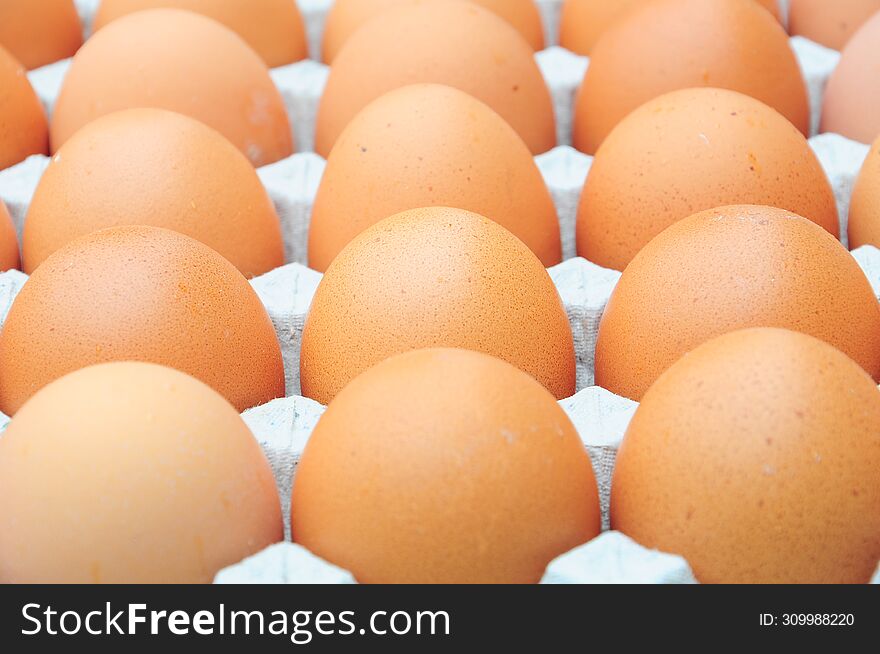 The Fresh Chicken Organic Brown Eggs On Carton