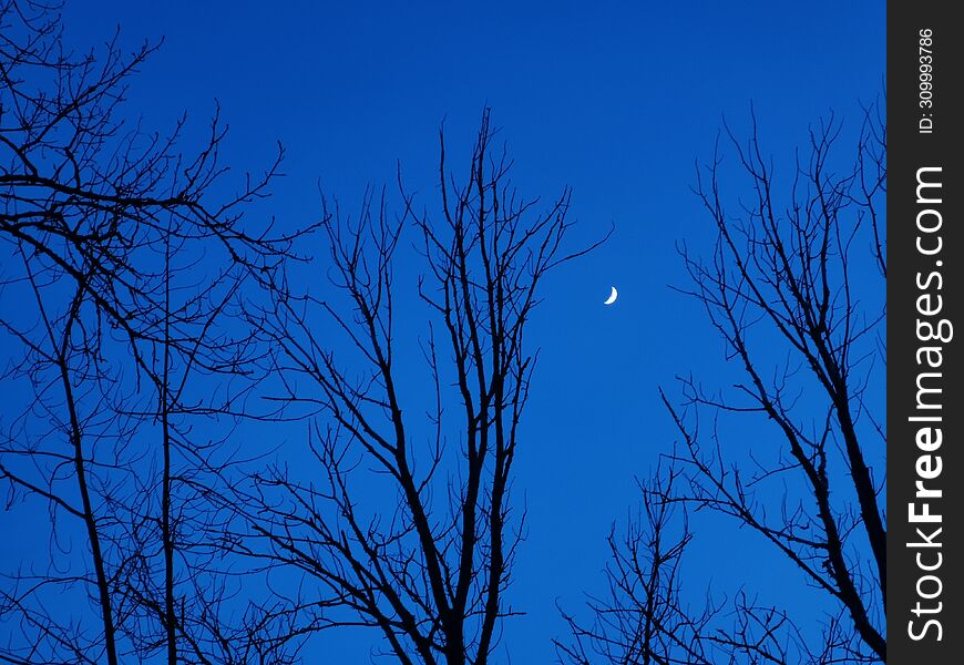 Winter moon on a blue sky background