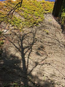 Shadows On The Wall Royalty Free Stock Photography Shadows On The Wall Royalty Free Stock Photography