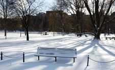 Bench In The Shadows Royalty Free Stock Images Bench In The Shadows Royalty Free Stock Images