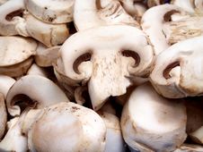 Mushrooms Royalty Free Stock Image Mushrooms Royalty Free Stock Image
