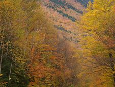 Fall Colors In Crawford Notch Stock Image Fall Colors In Crawford Notch Stock Image