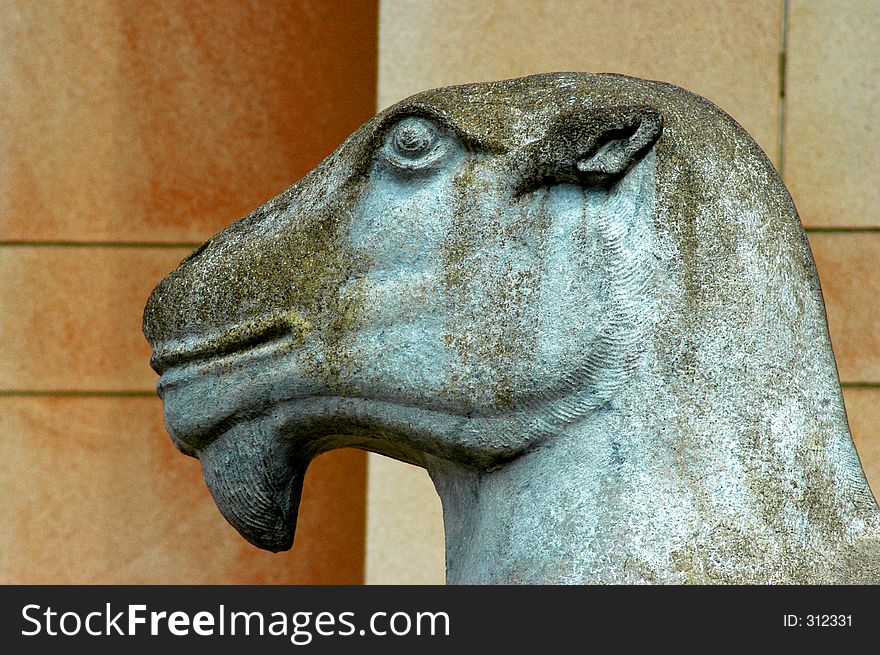 Statue of camel with tan background of Seattles Asian Art Museum