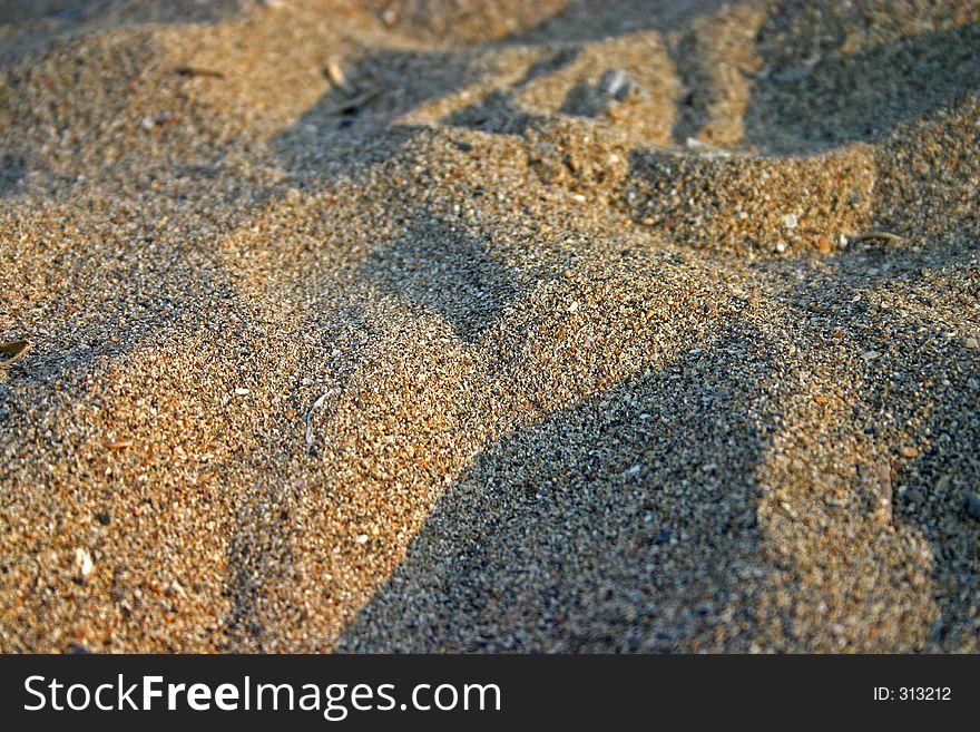 Sand In Evening