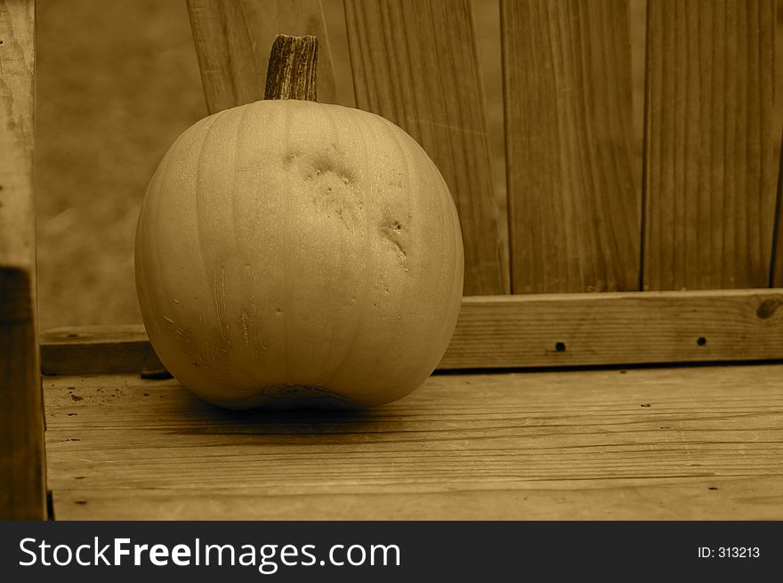 Pumpkin on a Bench. Pumpkin on a Bench