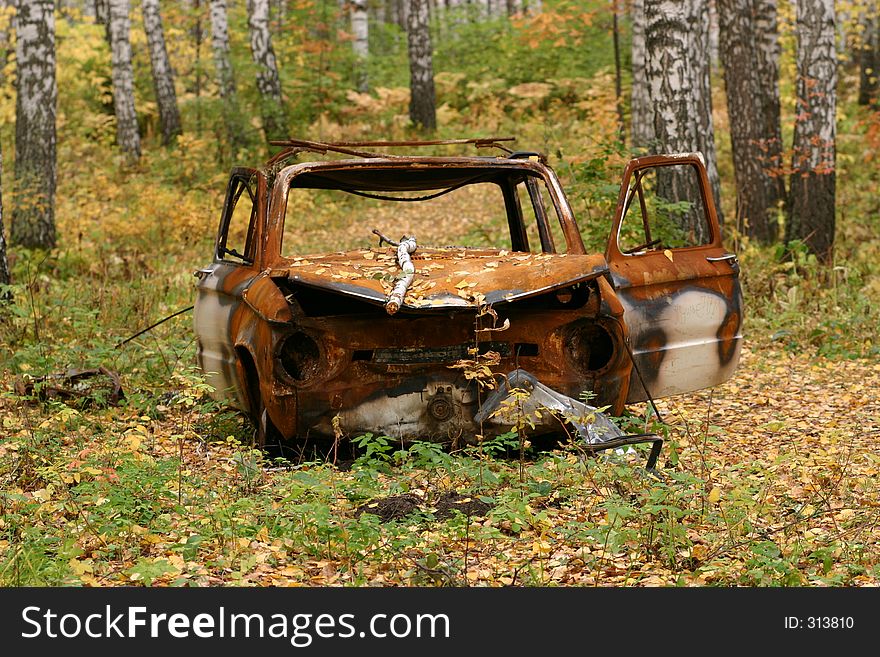 Rusted car in a woods. Rusted car in a woods