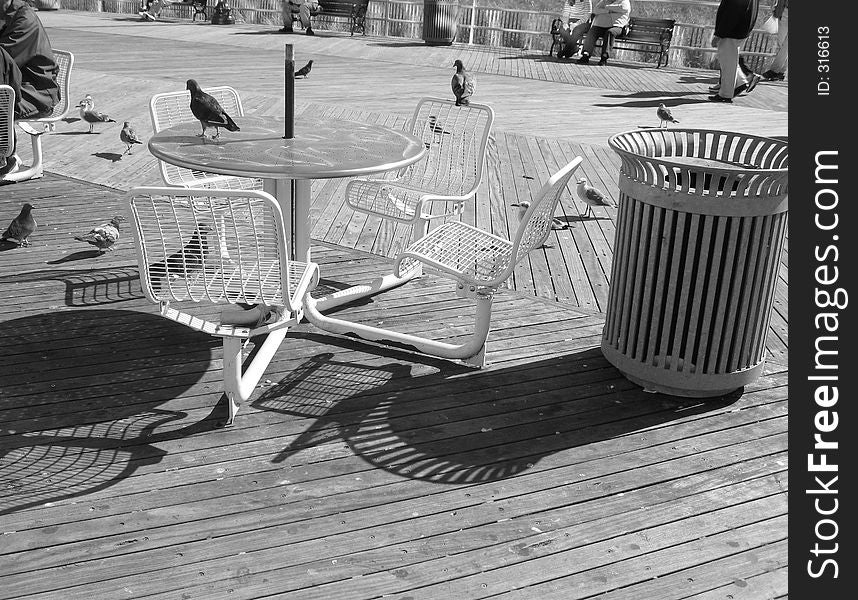 Pidgeons for Lunch. metal table on boardwalk in the summertime.