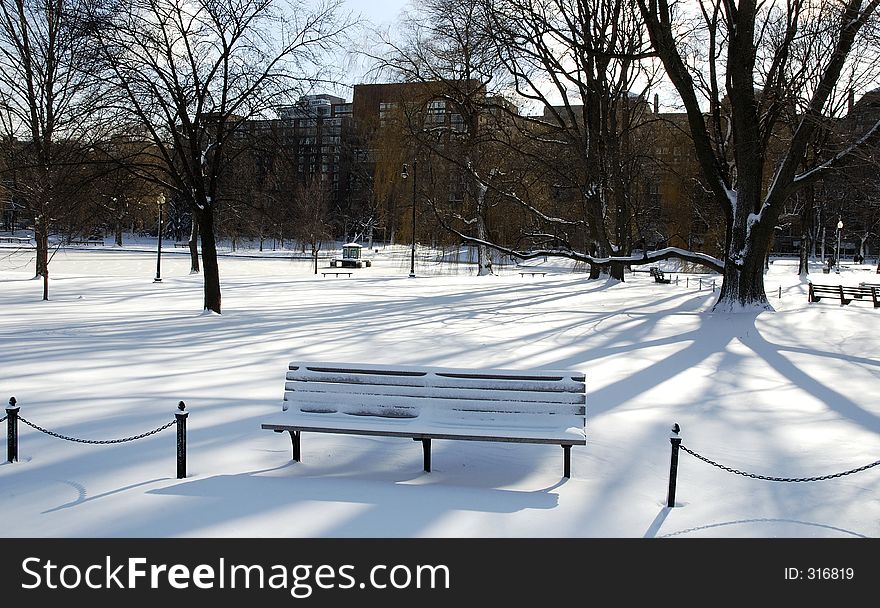 A Park bench under the long winter shadows. A Park bench under the long winter shadows