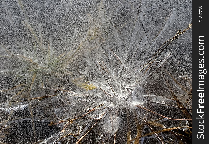 Frozen pool with grass. Frozen pool with grass