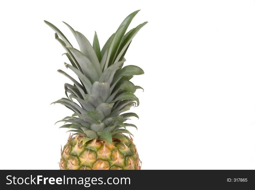 Pineapple Head2