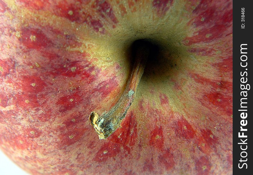 Apple stalk