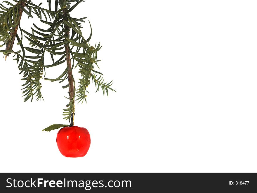 Isolated ornament