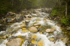 Stream Royalty Free Stock Images