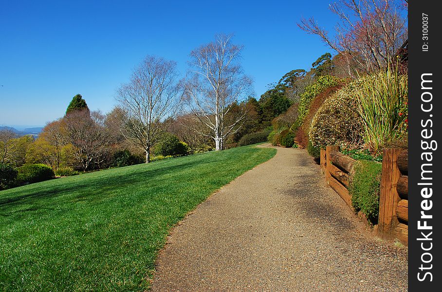 Photo taken at Mt Tomah Botanical Gardens, Blue Mountains Sydney. Photo taken at Mt Tomah Botanical Gardens, Blue Mountains Sydney.