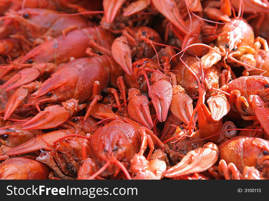 Red boiled crayfishes