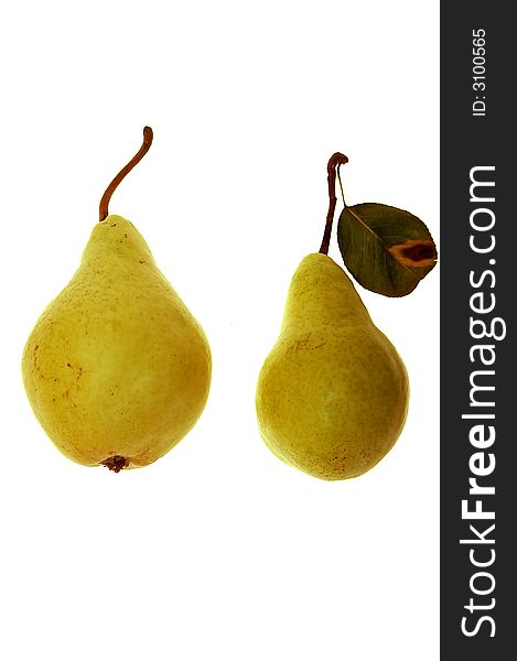 Two pears isolated on white background. Two pears isolated on white background