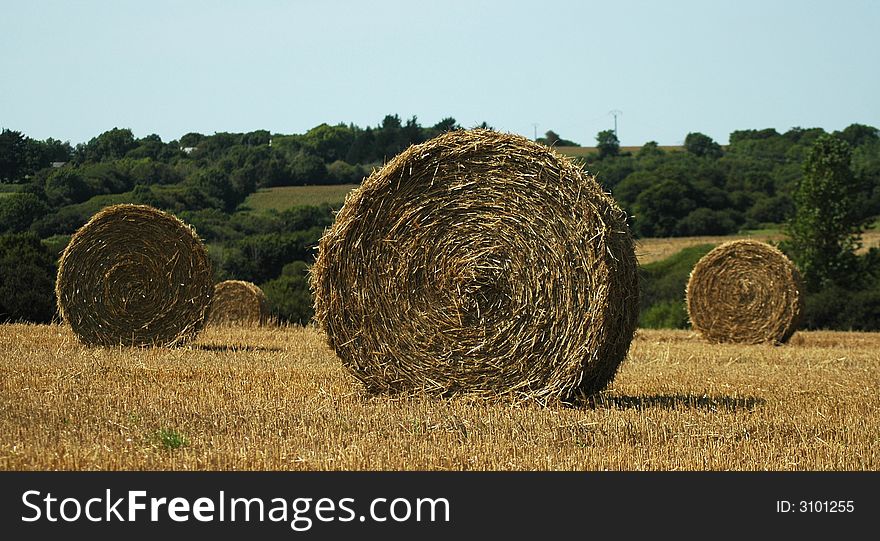 Blocks of straw drying in the sun in brittany. Blocks of straw drying in the sun in brittany