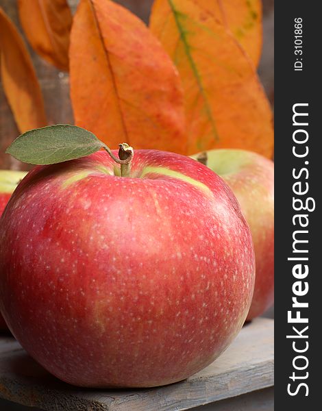 Beautiful red apple on a background of autumn leaves,