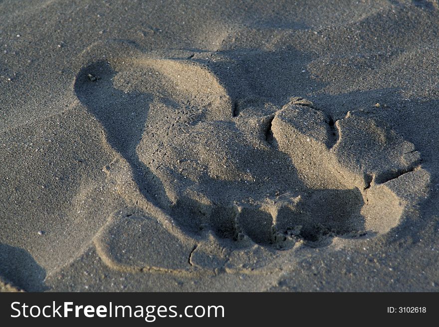 Footprint in the sand