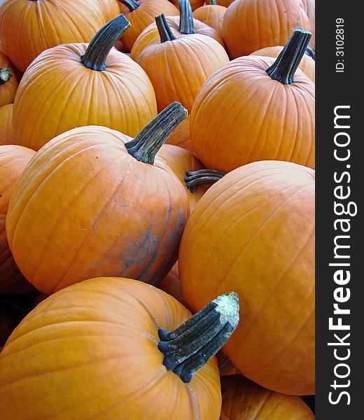 A large basket of pumpkins on display at the farmer's market. A large basket of pumpkins on display at the farmer's market