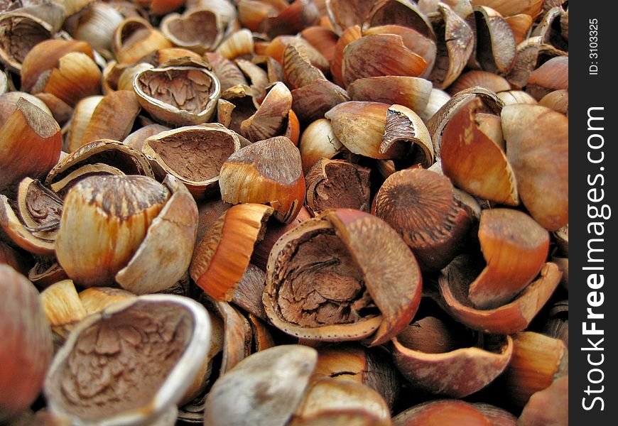 A pile of broken hazelnut shells used as ground covering at a local winery in Carlton Oregon. A pile of broken hazelnut shells used as ground covering at a local winery in Carlton Oregon