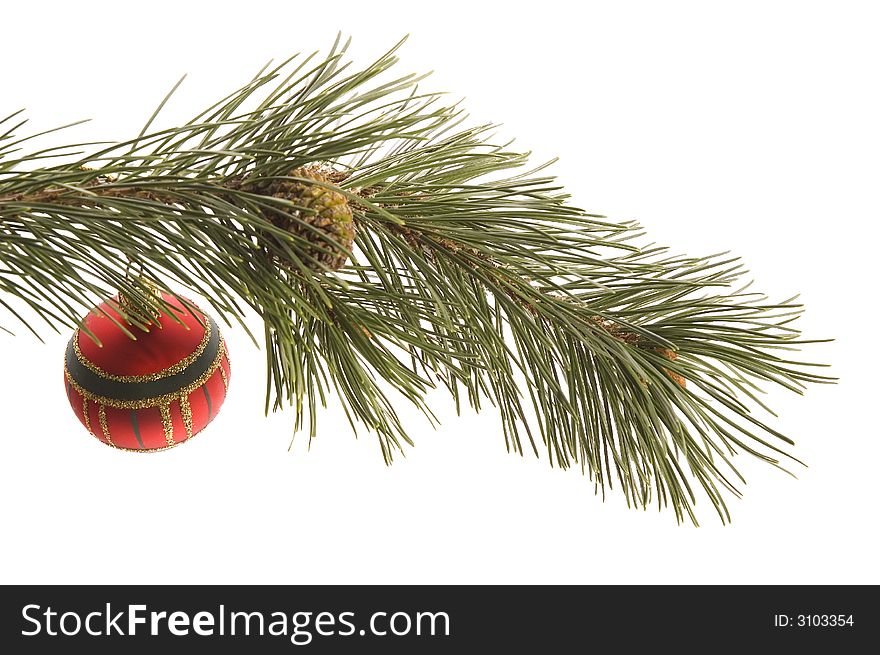 Christmas tree. decoration. evergreen branch with ball. Christmas tree. decoration. evergreen branch with ball