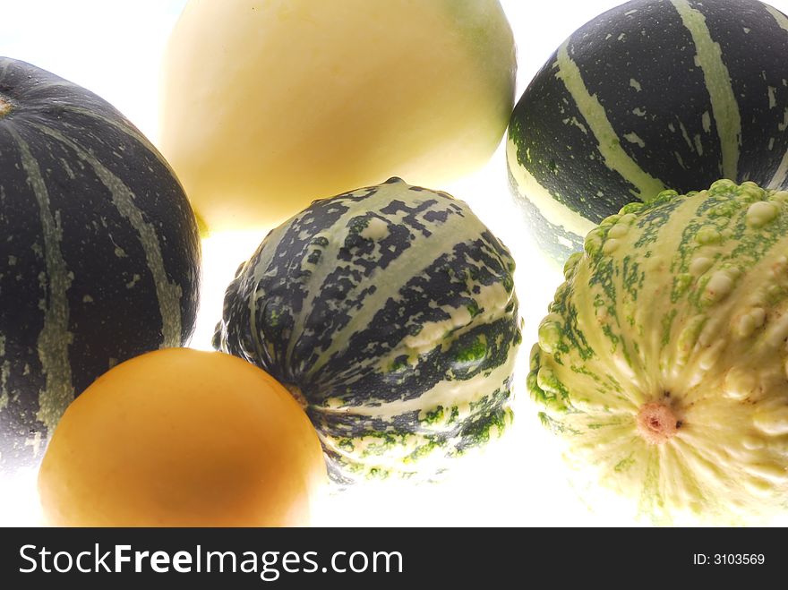 Different squashes on white background