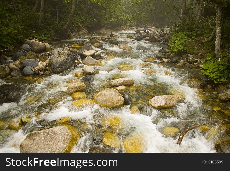 Stream in the Kachkar park in north east Turkey