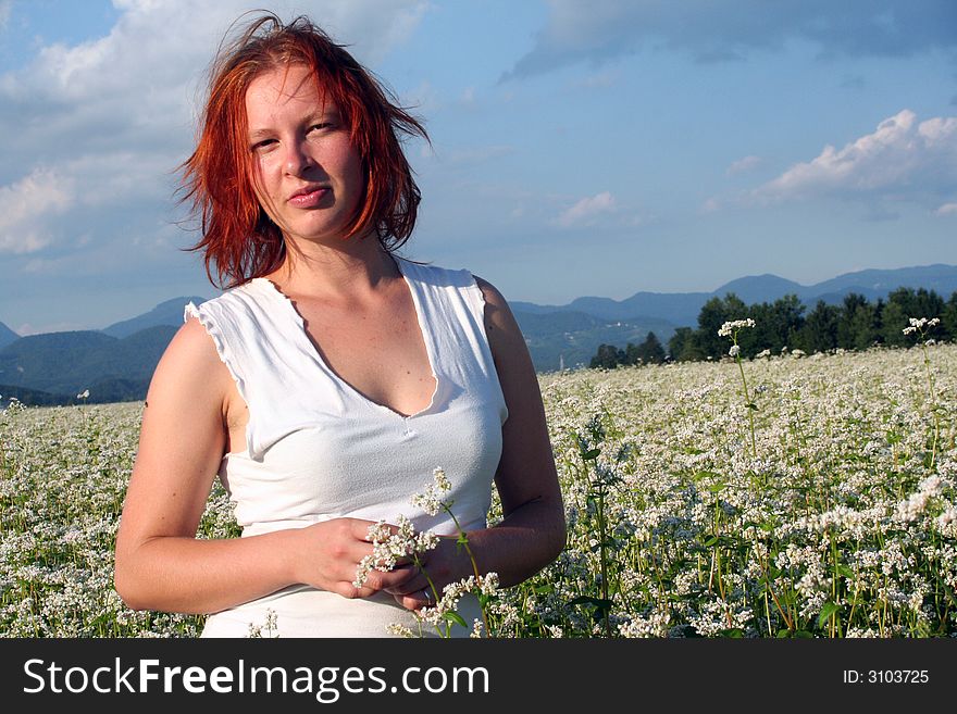 Buckwheat field in the middle of Slovenia