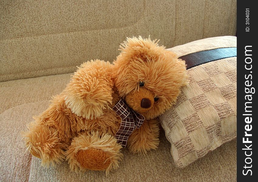 A teddy bear placed lying on the pillow on the sofa. A teddy bear placed lying on the pillow on the sofa