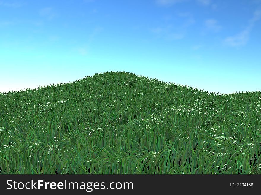 Green grass and blue sky. Green grass and blue sky