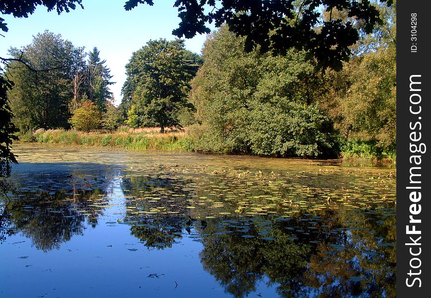 Taken from one of the walks around Weston Lake near Stafford