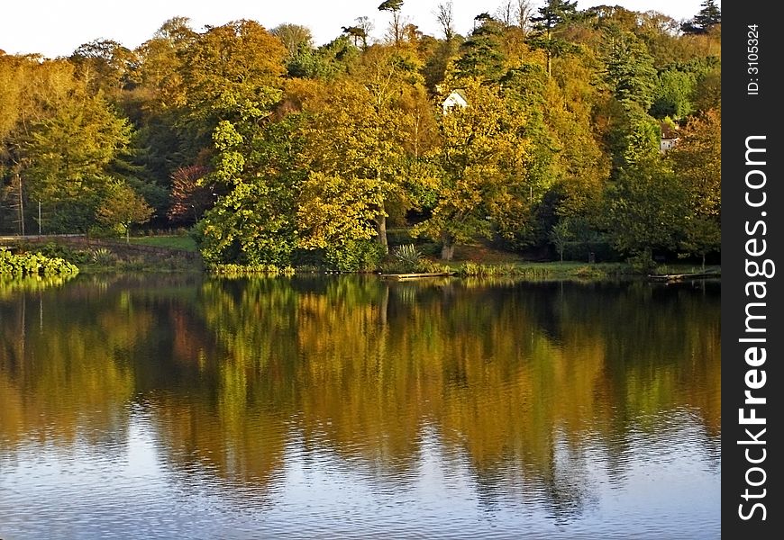 Lakeside reflections on a fall morning on an Irish Lake. Lakeside reflections on a fall morning on an Irish Lake