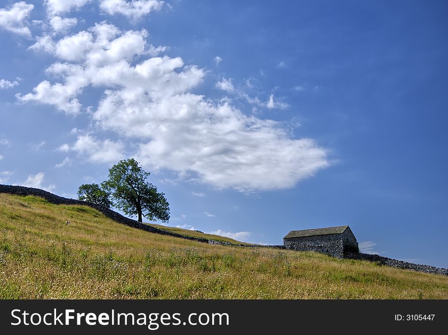 Barn & Tree On Slope