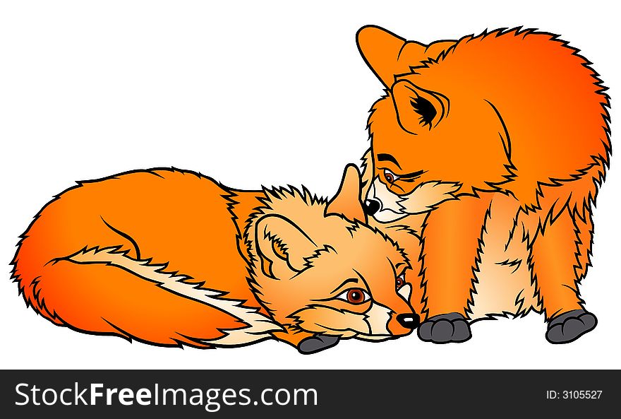 Two Foxes 1  - coloured cartoon illustration as vector