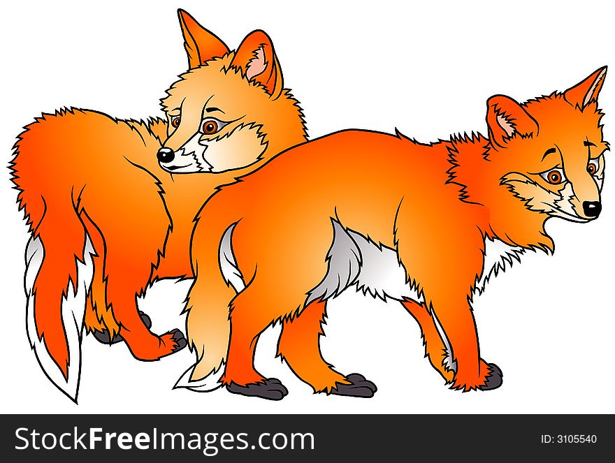 Two Foxes 2
