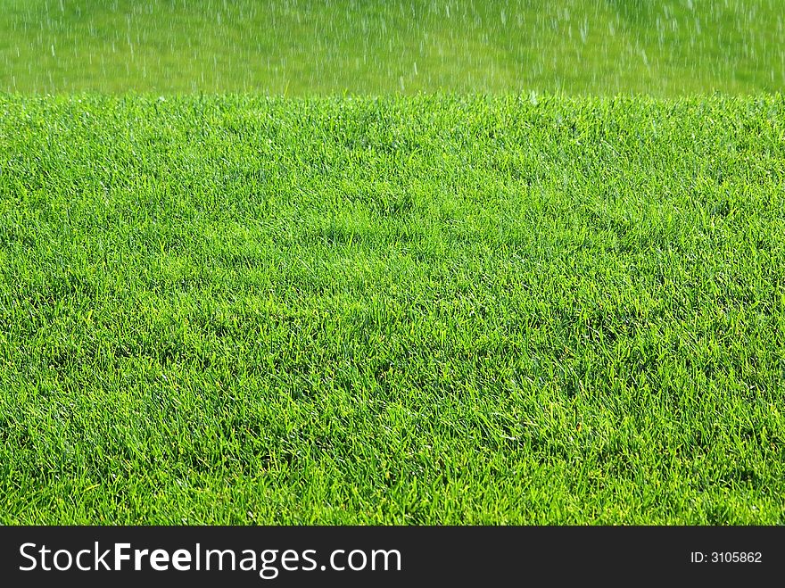 Green grass field  with water to fall.