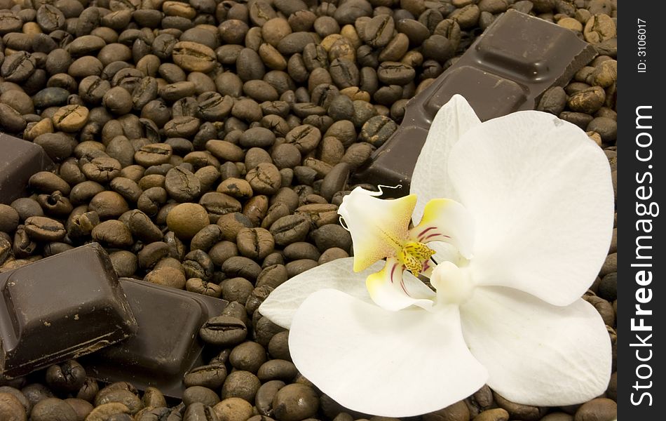 Coffee, chocolate and white flower. Coffee, chocolate and white flower