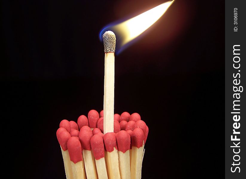 Close up color photograph of a lit wooden kitchen match sticking up from a group of unlit matches.  Black background. Close up color photograph of a lit wooden kitchen match sticking up from a group of unlit matches.  Black background.