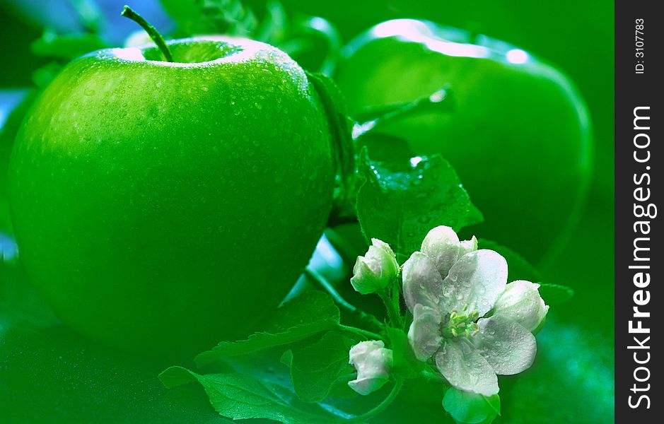 Green apples with a white flower