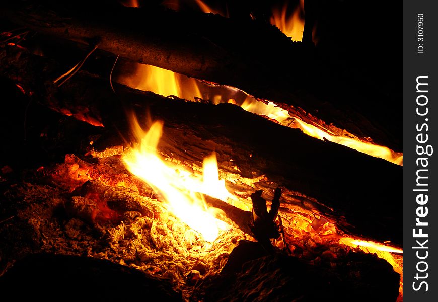 Campfire in the dark night
