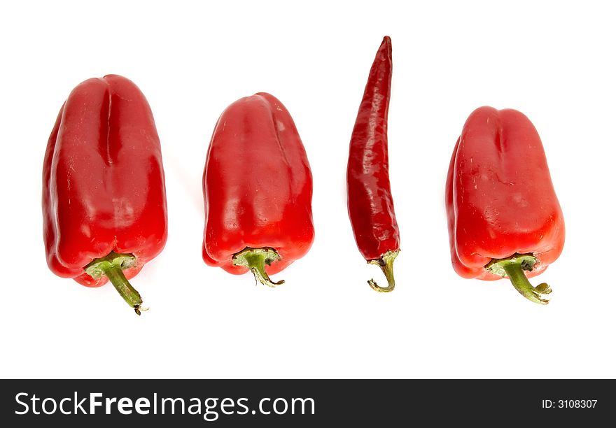 A line of red peppers. A line of red peppers