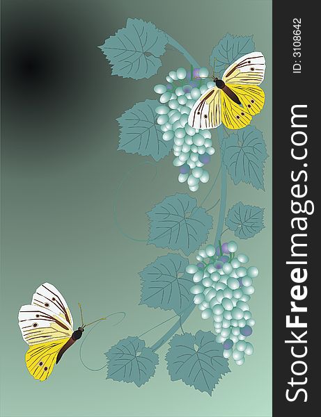 Illustration with grapes and butterflies on dark background. Illustration with grapes and butterflies on dark background