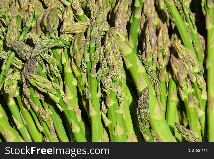 Many fresh asparagus just harvested