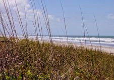 Florida Beach Shoreline Royalty Free Stock Photos Florida Beach Shoreline Royalty Free Stock Photos
