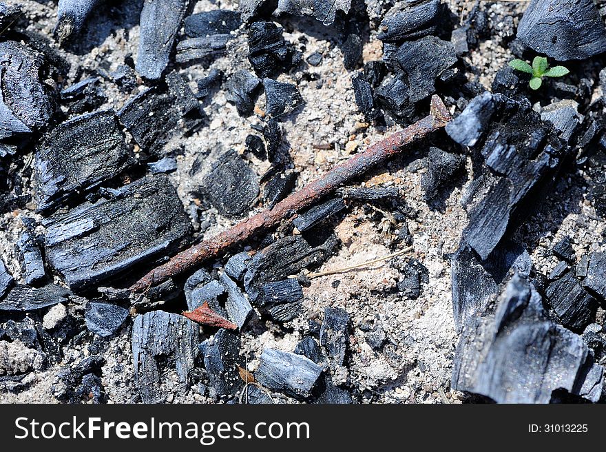 A close-up of an old rusty nail in a fire pit with coal and ash. A close-up of an old rusty nail in a fire pit with coal and ash