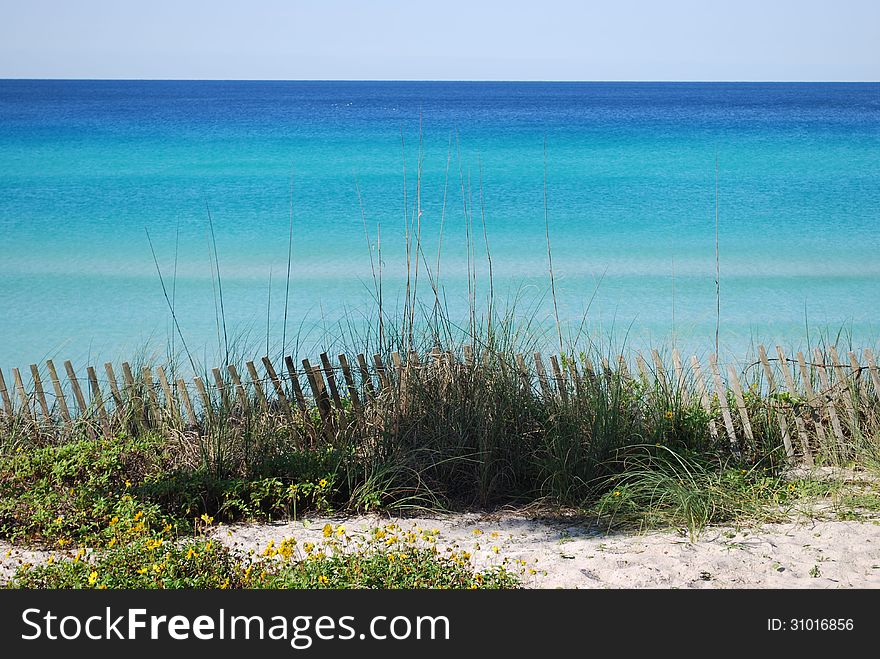 Sea Oats, Fencing, and the Blue Ocean