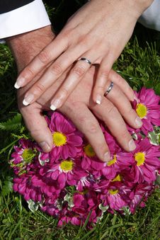 Wedding Rings Stock Photography