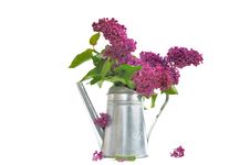 Flowers Of Lilac And Metal Pot Stock Photo Flowers Of Lilac And Metal Pot Stock Photo